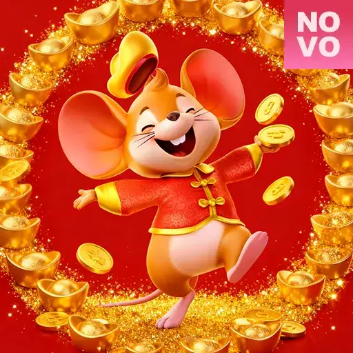 55d suporte apostas ao vivo